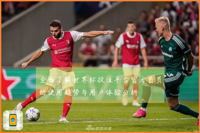 全面了解世界杯投注平台官方首页的使用趋势与用户体验分析
