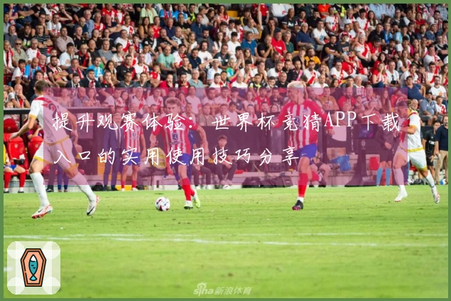 提升观赛体验：世界杯竞猜APP下载入口的实用使用技巧分享