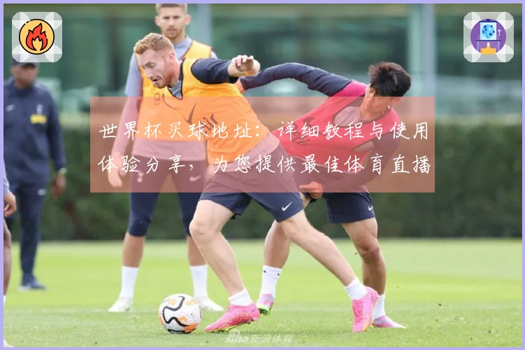 世界杯买球地址：详细教程与使用体验分享，为您提供最佳体育直播服务