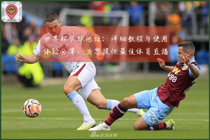 世界杯买球地址：详细教程与使用体验分享，为您提供最佳体育直播服务