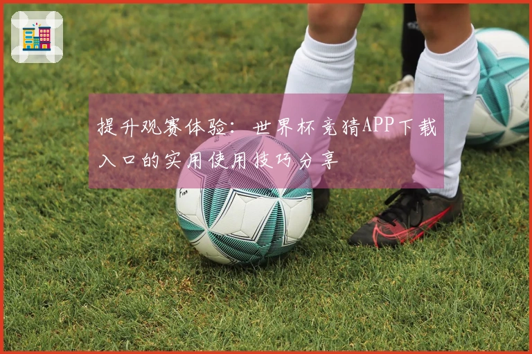 提升观赛体验：世界杯竞猜APP下载入口的实用使用技巧分享