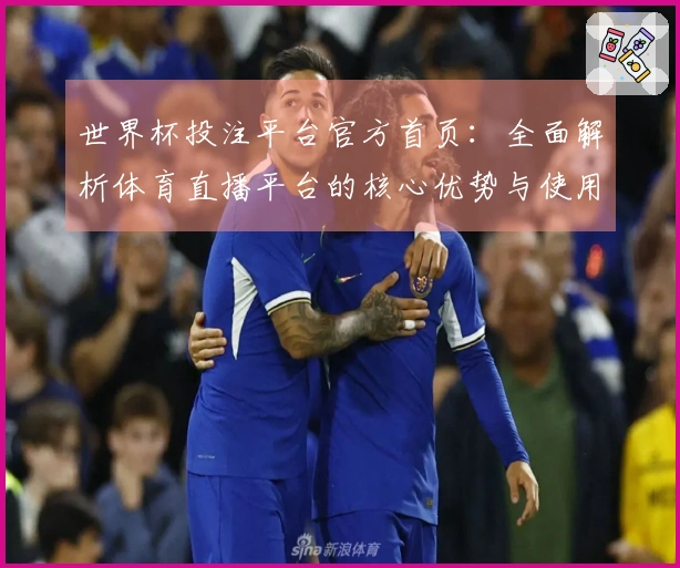 世界杯投注平台官方首页：全面解析体育直播平台的核心优势与使用体验