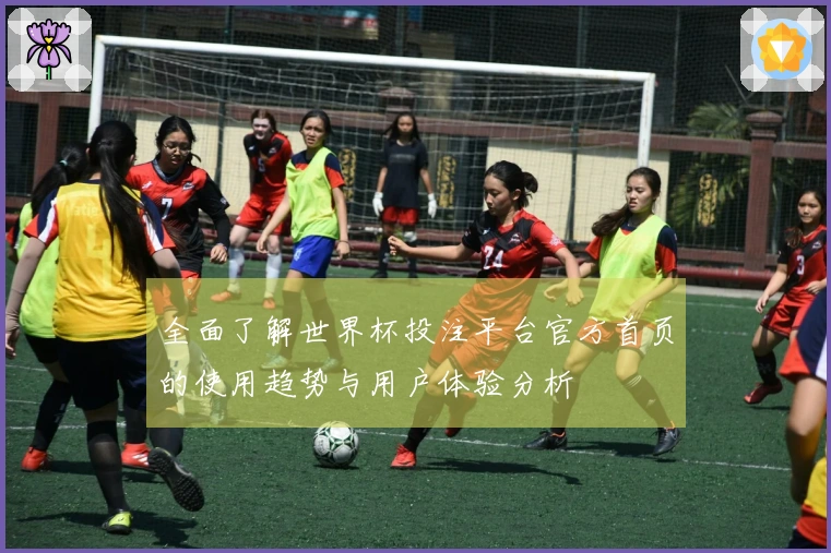 全面了解世界杯投注平台官方首页的使用趋势与用户体验分析