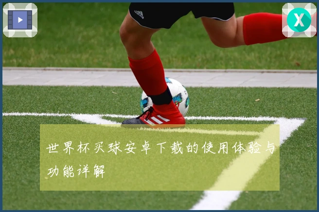 世界杯买球安卓下载的使用体验与功能详解