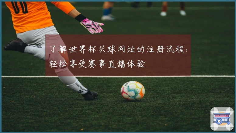了解世界杯买球网址的注册流程，轻松享受赛事直播体验