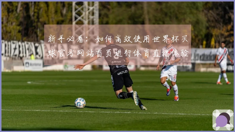 新手必看：如何高效使用世界杯买球官方网站首页进行体育直播体验