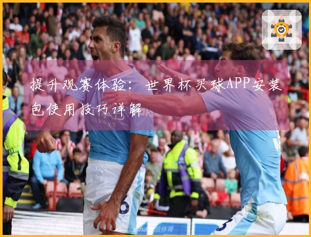提升观赛体验：世界杯买球APP安装包使用技巧详解