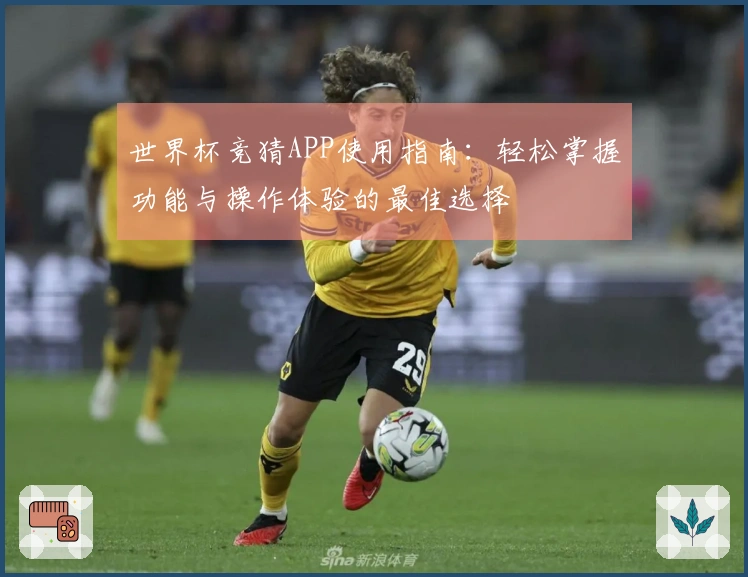 世界杯竞猜APP使用指南：轻松掌握功能与操作体验的最佳选择