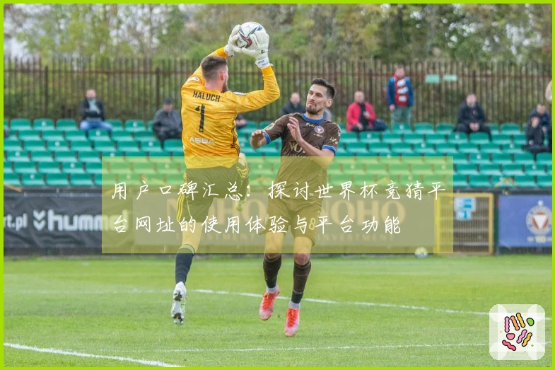 用户口碑汇总:探讨世界杯竞猜平台网址的使用体验与平台功能